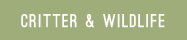 critter & wildlife