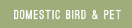 domestic bird & pet