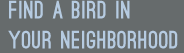 find a bird in your neighborhood